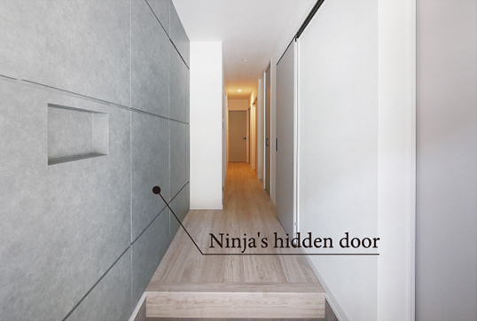 Ninja's hidden door